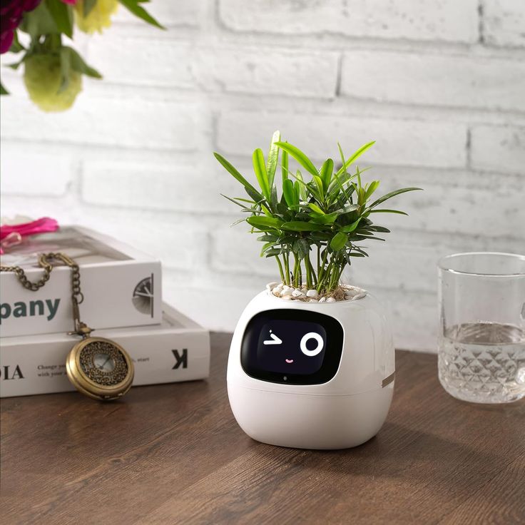 Transform Your Space with Our Cute Robot Planter! 🤖