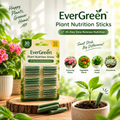 EverGreen Plant Nutrition Sticks