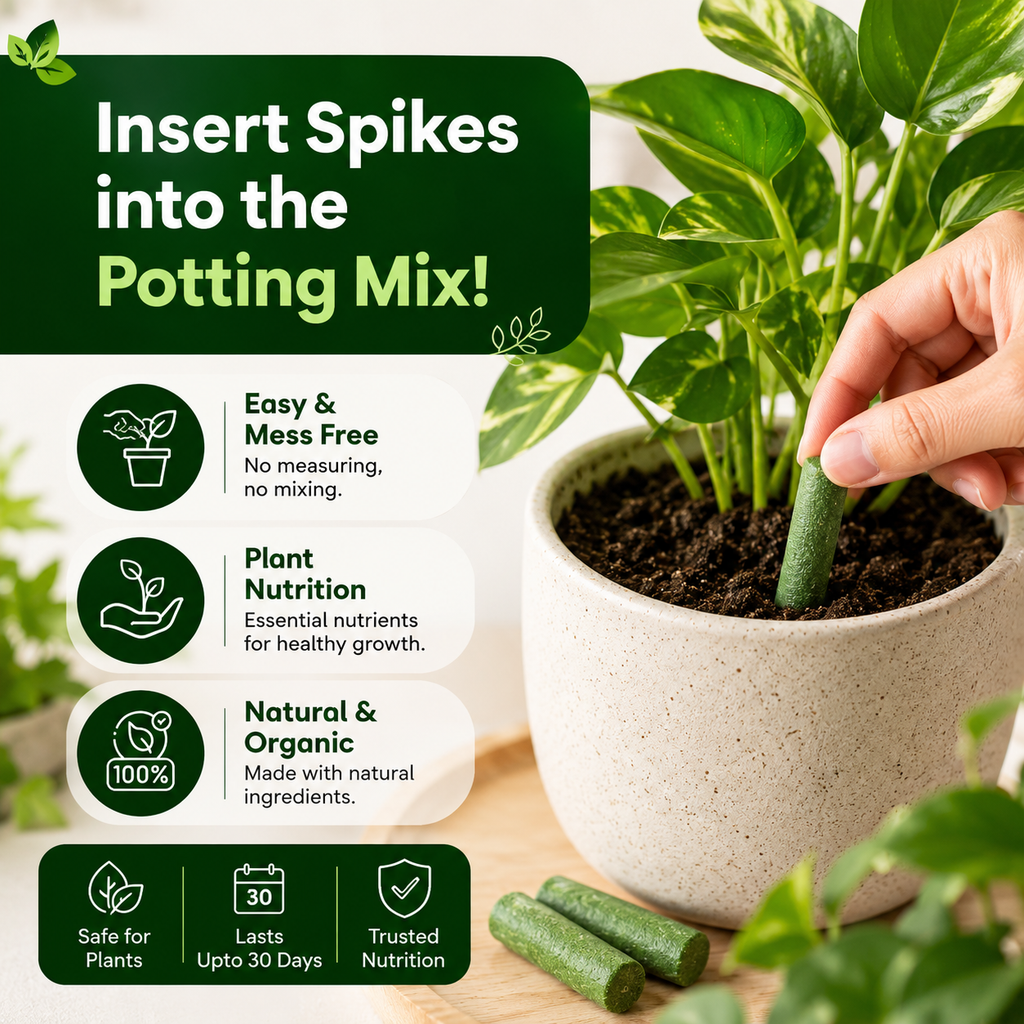 EverGreen Plant Nutrition Sticks