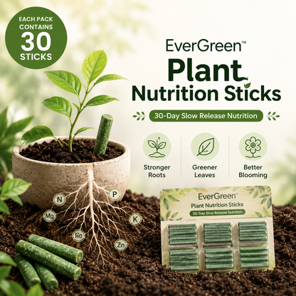 EverGreen Plant Nutrition Sticks