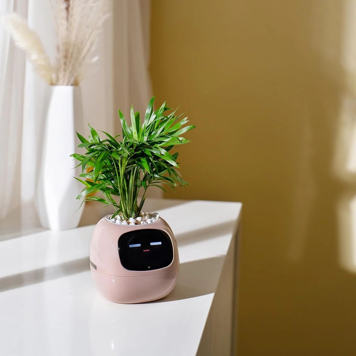 Transform Your Space with Our Cute Robot Planter! 🤖